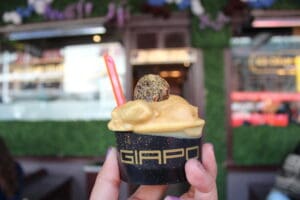 Haute Ice Cream Giapo Auckland