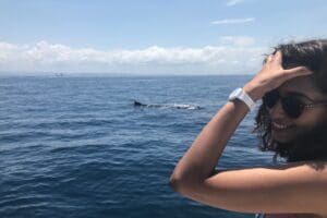 Whale Watching Gold Coast