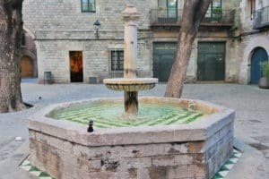 Barcelona Diary