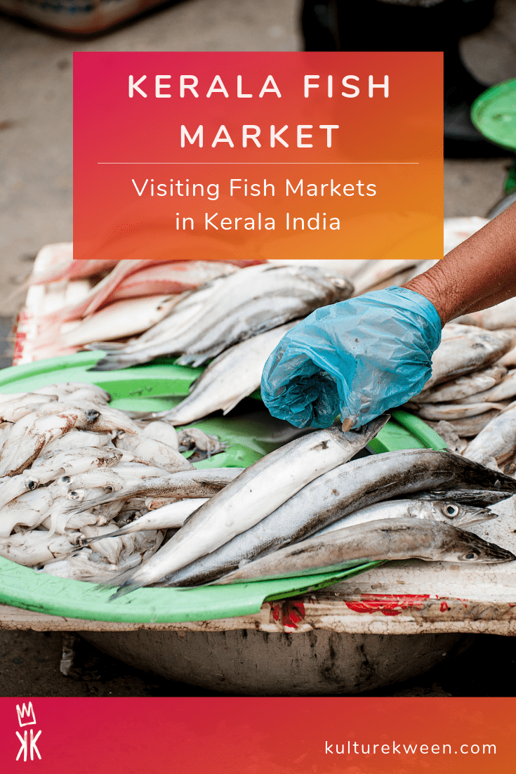 Top Fishing Equipment Wholesalers in Ernakulam - फिशिंग