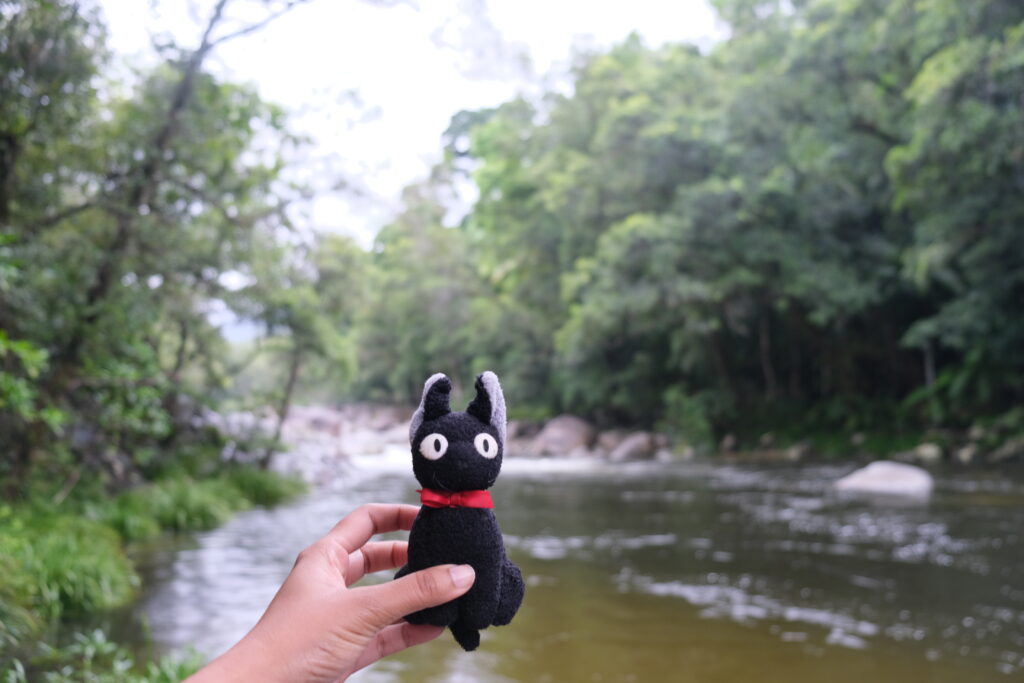 Mossman Gorge Queensland Aboriginal Smoking Ceremony