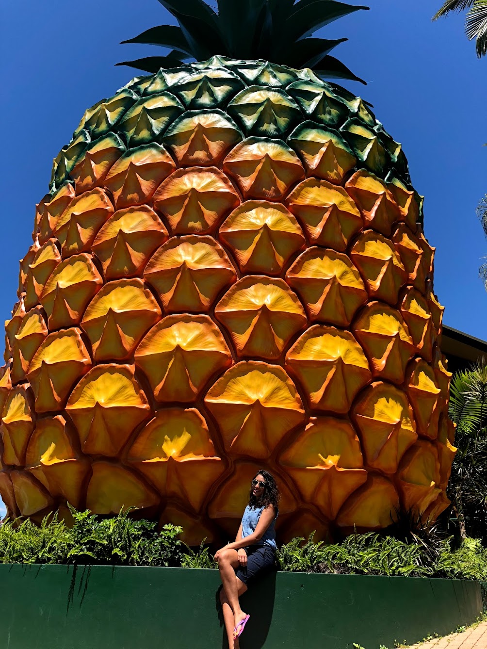 The Big Pineapple QLD Australia Big Things