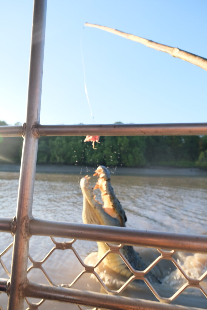 Jumping Crocodiles Darwin NT Australia