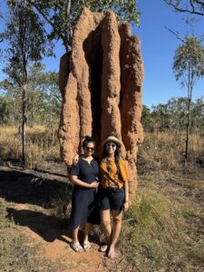 Magnetic Termite Mounds Darwin NT