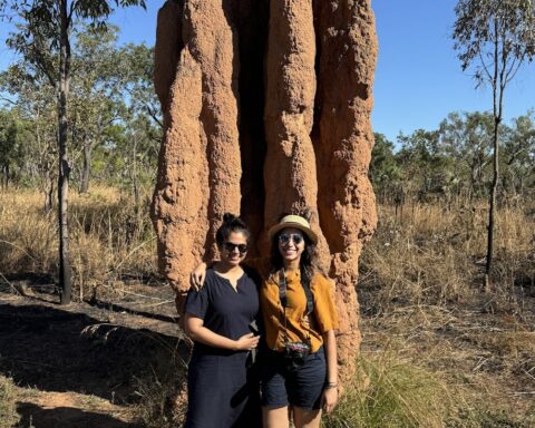 Magnetic Termite Mounds Darwin NT